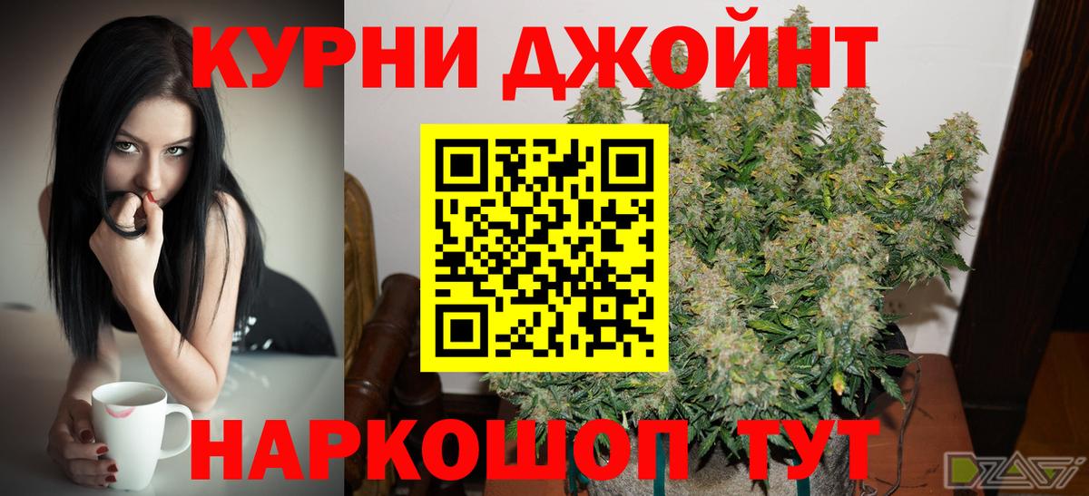 Бошки Шишки план Карталы